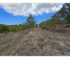 Finca rústica con proyecto y licencia de construcción en La Nucia