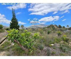 Finca rústica con proyecto y licencia de construcción en La Nucia