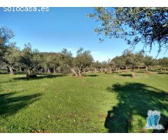 Se vende finca rústica en zona LA SIERRILLA