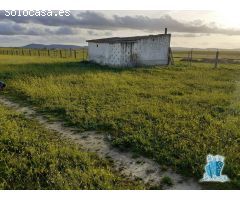 TERRENO rural  EN MALPARTIDA DE CÁCERES