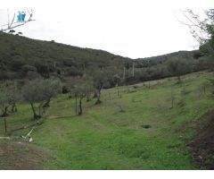 SE VENDE FINCA RUSTICA ZONA DE LA MONTAÑA