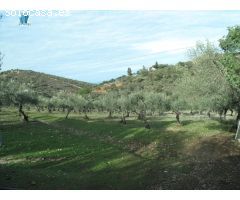 SE VENDE FINCA RUSTICA ZONA DE LA MONTAÑA