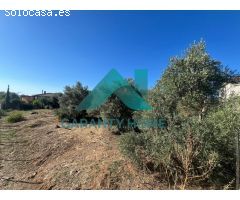 SE VENDE TERRENO URBANO EN ZONA LA SIERRILLA