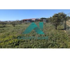 ¡SE VENDE PARCELA EN EL PRADILLO, CÁCERES! ?????