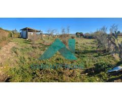 ¡SE VENDE PARCELA EN EL PRADILLO, CÁCERES! ?????