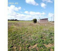 CP1203C Parcela Rural con facil acceso a Manacor