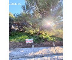 Parcela en Urbanización Bona Vista