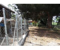 Se vende  hermosa casa de madera en El Paraje de Molina de Segura con amplia parcela ????????