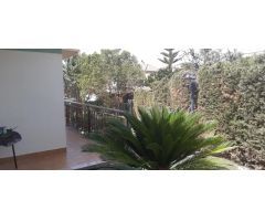 ¡Exclusivo chalet independiente en alquiler en La Alcayna!