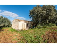 Terreno Rustico con pequeña casa para reformar al este de Petra, Mallorca