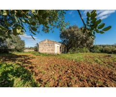 Terreno Rustico con pequeña casa para reformar al este de Petra, Mallorca
