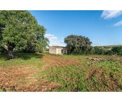 Terreno Rustico con pequeña casa para reformar al este de Petra, Mallorca