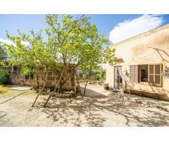 FINCA RUSTICA, en Mallorca, entre Sant Joan y Sineu