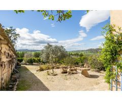 FINCA RUSTICA, en Mallorca, entre Sant Joan y Sineu