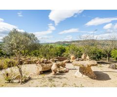 FINCA RUSTICA, en Mallorca, entre Sant Joan y Sineu
