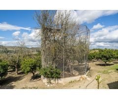 FINCA RUSTICA, en Mallorca, entre Sant Joan y Sineu