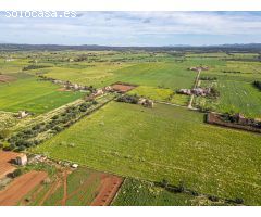 Terreno Rústico con Edificaciones a Restaurar en Campos, Mallorca