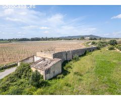 Finca rústica con edificación para reformar y ampliar en Petra, Mallorca