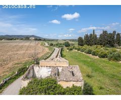 Finca rústica con edificación para reformar y ampliar en Petra, Mallorca