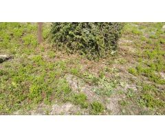 Venta de solar urbano de 1.100 m2 en Lloseta