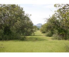 Se vende parcela rúsitca de 20.714 m2 en camí son Roig (Binissalem)