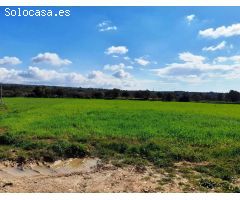 Casa de campo de 384 m2 en parcela de 22.820 m2 en Costitx