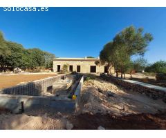 Finca rústica de 15.192 m2 con construcción (obra nueva) de 150 m2 en Algaida