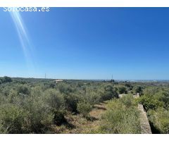 Se vende solar edificable en Sa Cabaneta, Marratxí
