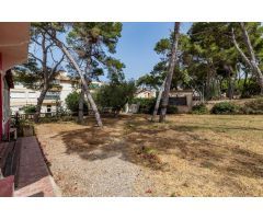 A la venta casa y terreno edificable en SArenal
