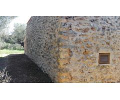 Venta de finca de 7.000 m2 con casita reformada en Son Tano (Sencelles)