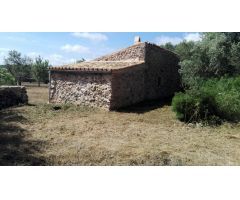 Venta de finca de 7.000 m2 con casita reformada en Son Tano (Sencelles)