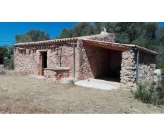 Venta de finca de 7.000 m2 con casita reformada en Son Tano (Sencelles)