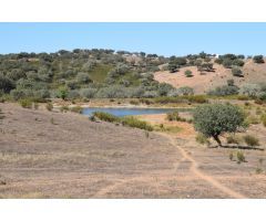 Terreno en el Cerro del Andévalo (Huelva)