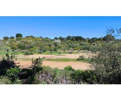 Excelente Parcela en Campo de Golf Costa Esuri