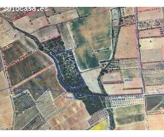 Terreno rústico en venta con edificación, en Valls