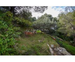 TERRENO EN MONTGAVINA