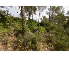 TERRENO URBANO EN CAN SURIA