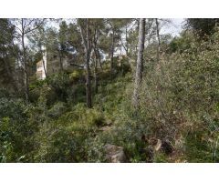 TERRENO DESCENDIENTE EN CAN SURIA