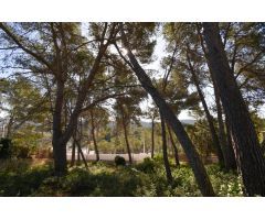 TERRENO EN LA URBANIZACIÓN LAS COLINES, OLIVELLA