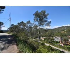 EXCELENTE TERRENO EN MAS MESTRE, OLIVELLA