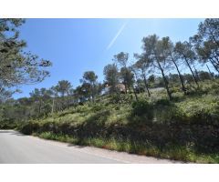 EXCELENTE TERRENO EN MAS MESTRE, OLIVELLA