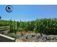FINCA RUSTICA DE RIEGO EN BELICENA