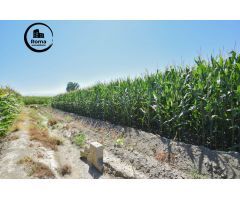 FINCA RUSTICA DE RIEGO EN BELICENA