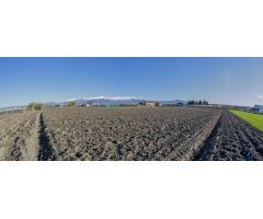 FINCA RUSTICA EN CÚLLAR VEGA