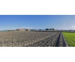 FINCA RUSTICA EN CÚLLAR VEGA