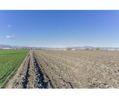 FINCA RUSTICA EN CÚLLAR VEGA