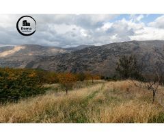OPORTUNIDAD UNICA EN GUEJAR SIERRA!!!!
