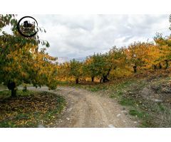 OPORTUNIDAD UNICA EN GUEJAR SIERRA!!!!