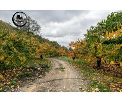 OPORTUNIDAD UNICA EN GUEJAR SIERRA!!!!