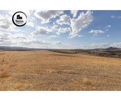 TERRENO RÚSTICO DE 28.397M2 EN OTURA